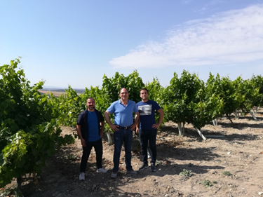 Visitamos con Antonio Doblas Martos los viñedos para la selección de las cepas con las que trabajaremos en el proyecto.