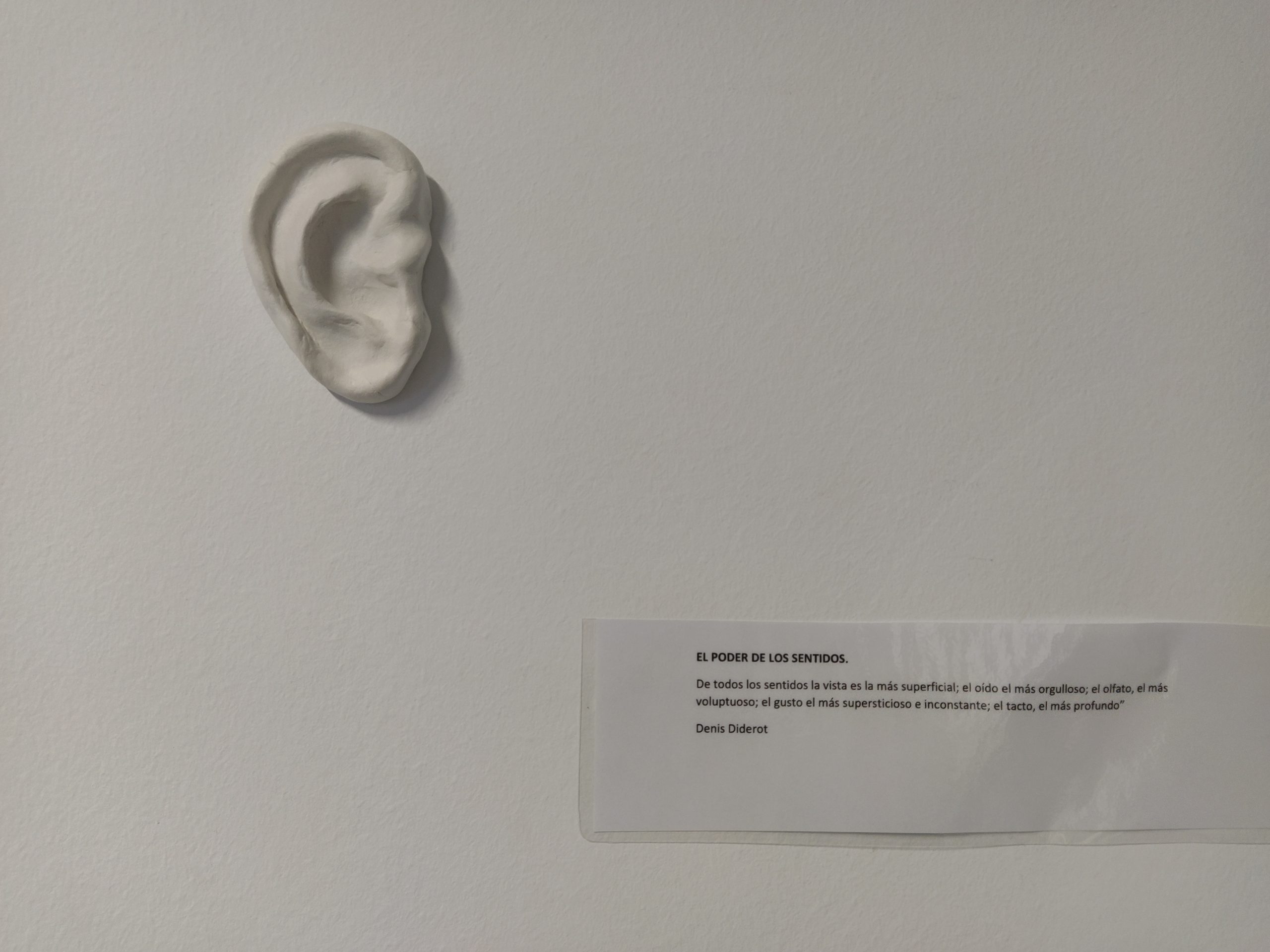 Ejemplo de la exposición el poder de los sentidos.