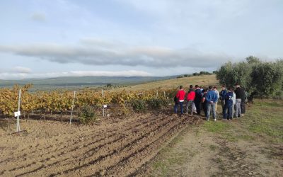 Jornada de Vitivinicultura ecológica