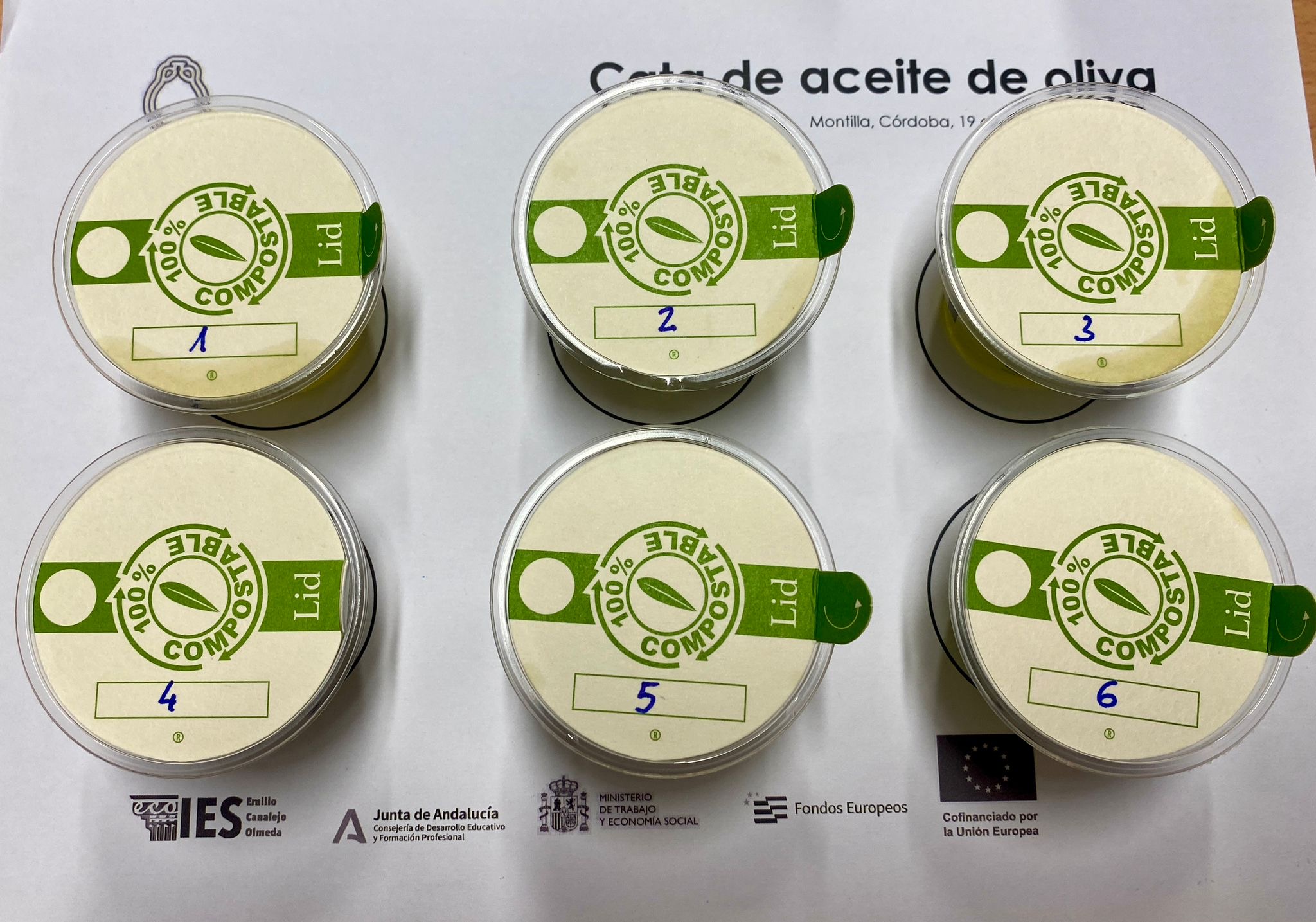 Fotografía de aceites de oliva para la cata